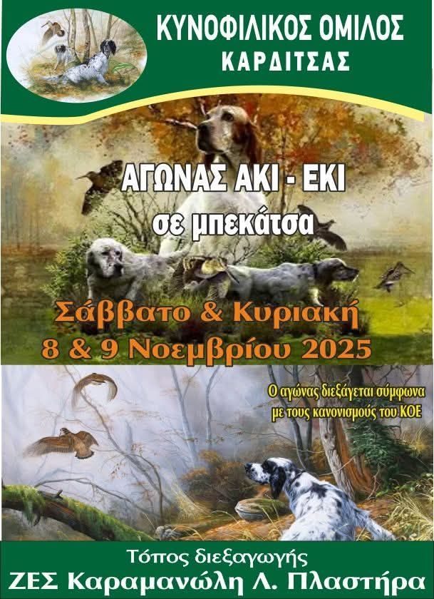 Αγώνας σε μπεκάτσα στη Λίμνη Πλαστήρα - φωτογραφία 2