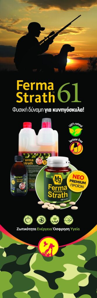 Anima Strath GR: 25 χρόνια πάθους και προσφοράς - φωτογραφία 3
