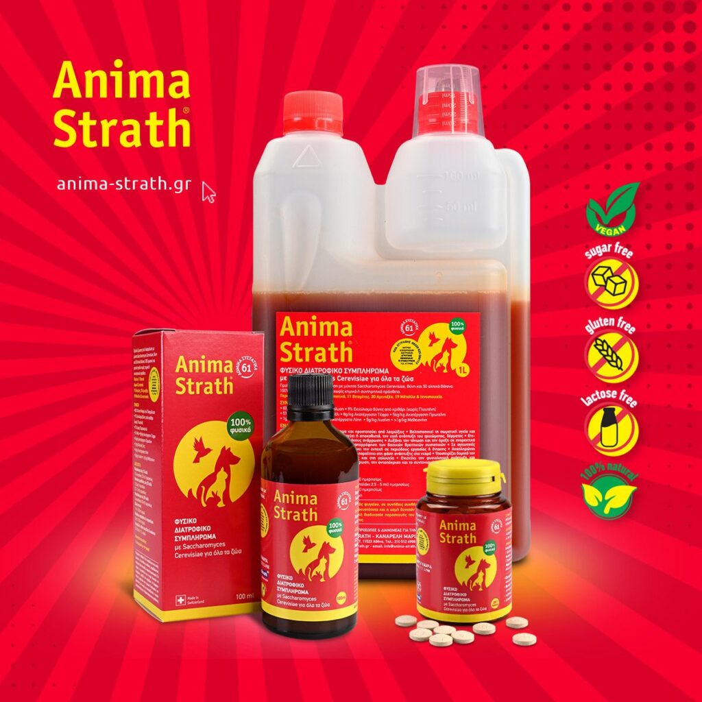 Anima Strath GR: 25 χρόνια πάθους και προσφοράς - φωτογραφία 4