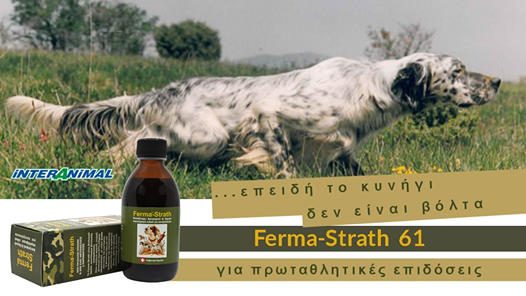 Anima Strath GR: 25 χρόνια πάθους και προσφοράς - φωτογραφία 5