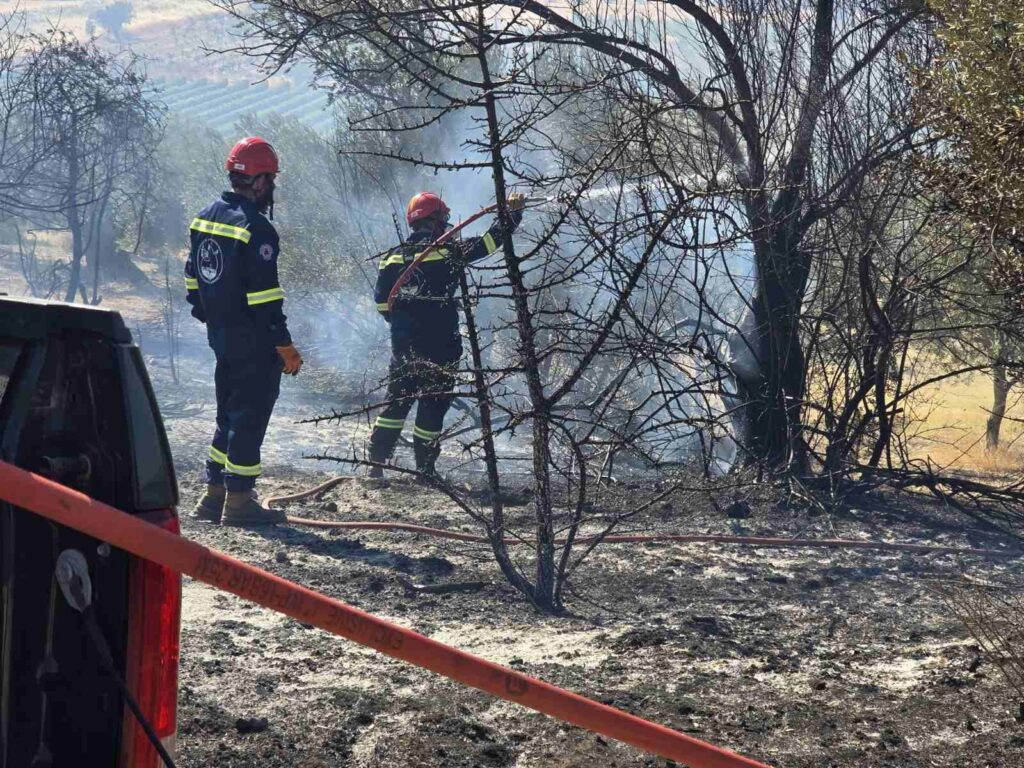 Ο ΔΙΓΕΝΗΣ: Εθελοντικός Σύλλογος Δασοπροστασίας Ανατολικής Κορινθίας - φωτογραφία 5