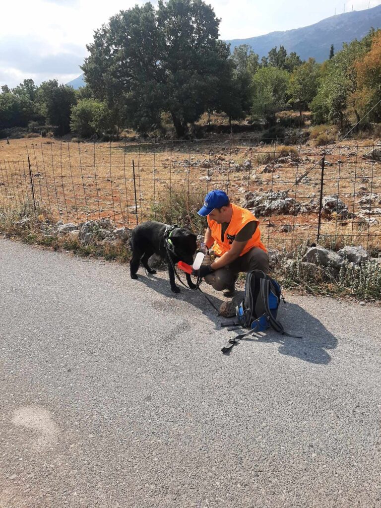 Γνωριμία με τον Κυνηγετικό Σύλλογο Μολάων Λακωνίας - φωτογραφία 4