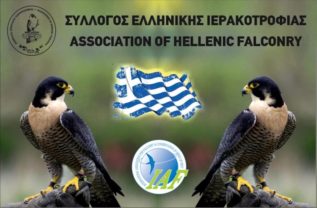 Ηλίας Ανδρέου: Στη ζωή ενός σύγχρονου γερακάρη - φωτογραφία 2
