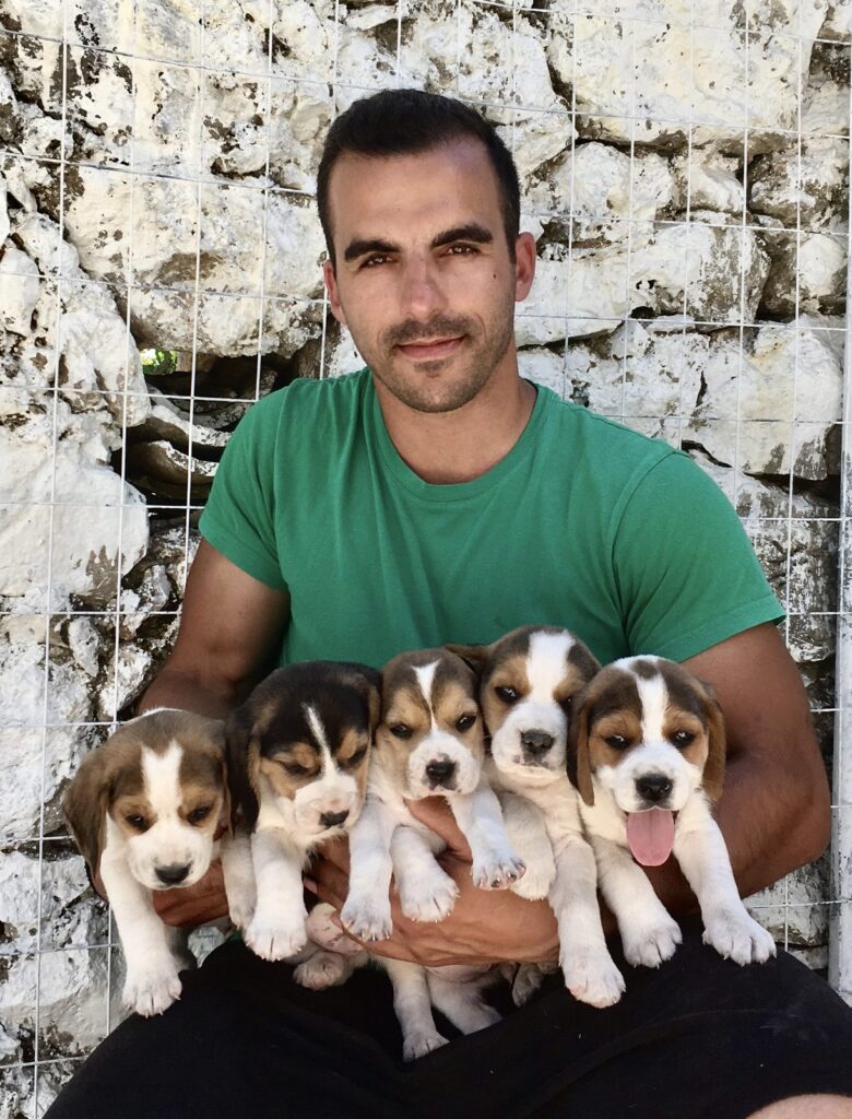 Κώστας Τζωρτζάτος: Πάθος και γνώση για τα Beagle - φωτογραφία 2