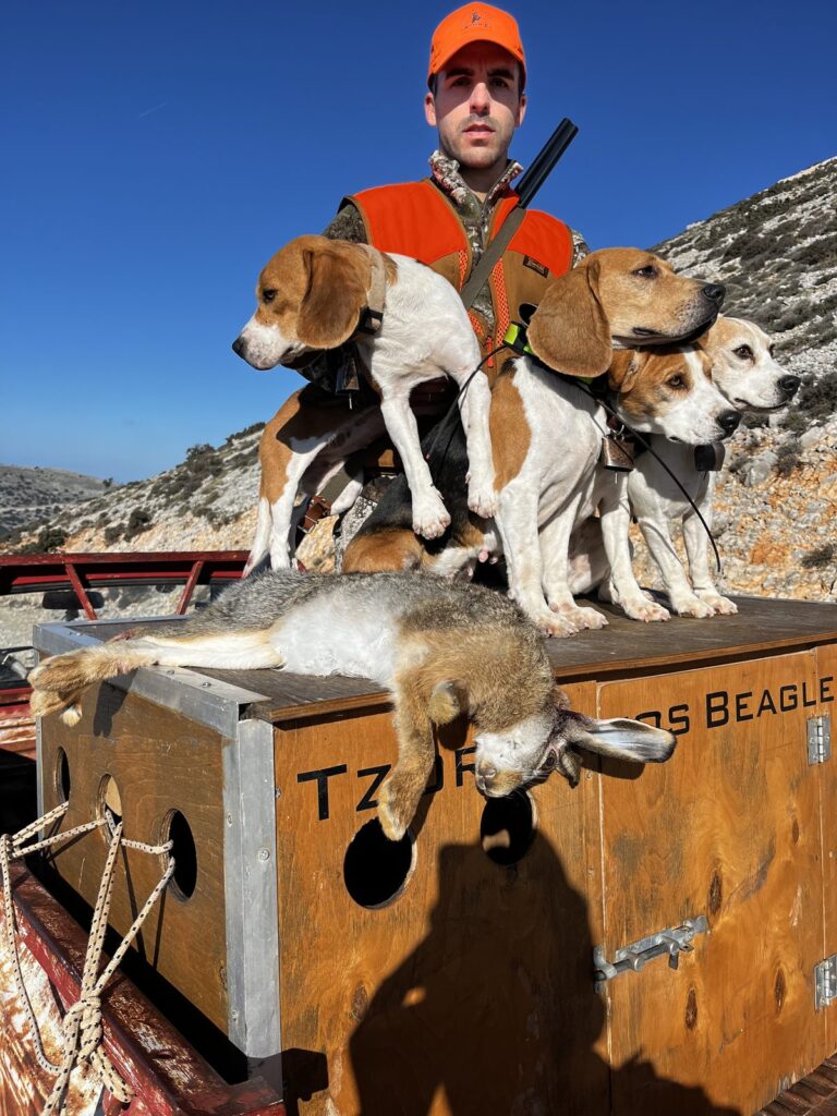 Κώστας Τζωρτζάτος: Πάθος και γνώση για τα Beagle - φωτογραφία 9