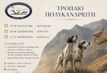 Πανευρωπαϊκό Πρωτάθλημα Βουνού στον Κόζιακα