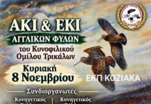 Τρίκαλα: Αγώνας Α.Κ.Ι. και Ε.Κ.Ι. σε μπεκάτσα από τον Κ.Ο. Τρικάλων