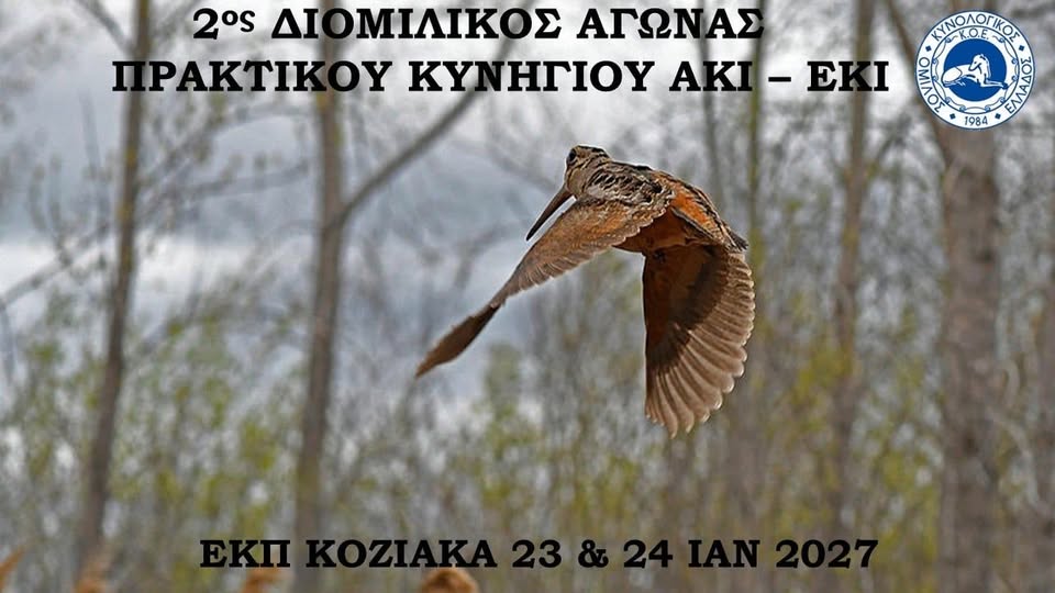 Διομιλικό Πρωτάθλημα πρακτικού κυνηγίου μπεκάτσα Κόζιακας ΚΟΕ othireutis
