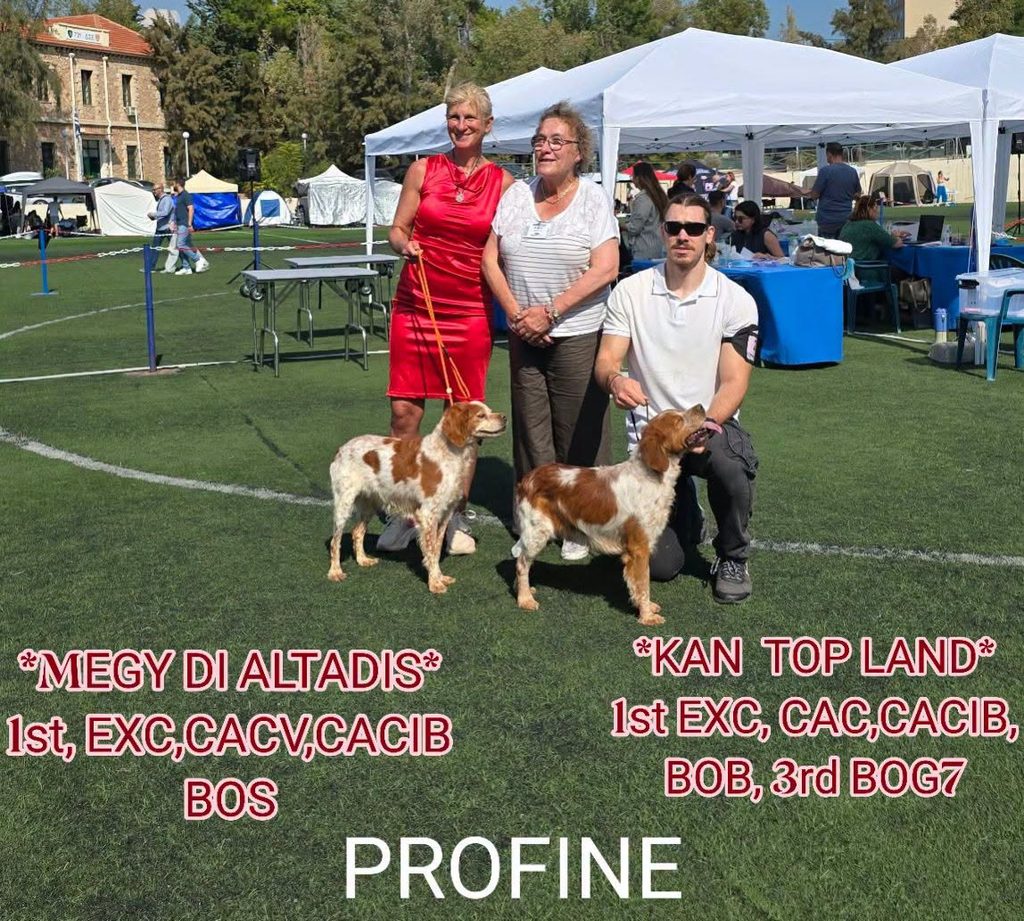 Athens Autumn International Dog Shows 2026 ΚΟΕ Γουδή othireutis