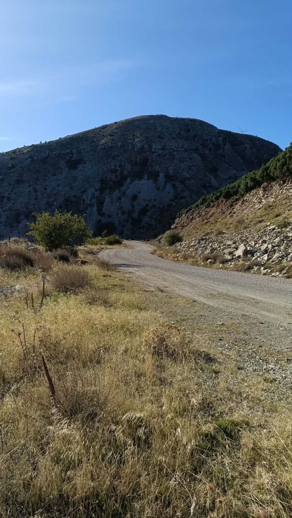 Παναχαϊκό Καρκαλέτση συναγερμός δηλητηριασμένα δολώματα φόλες 1ος Κυνηγετικός Σύλλογος Πατρών othireutis